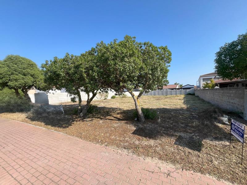 0 Bedroom Property for Sale in Port Owen Western Cape